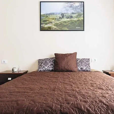 Spacious 2 Bedroom Apt In San Jose Apartment *