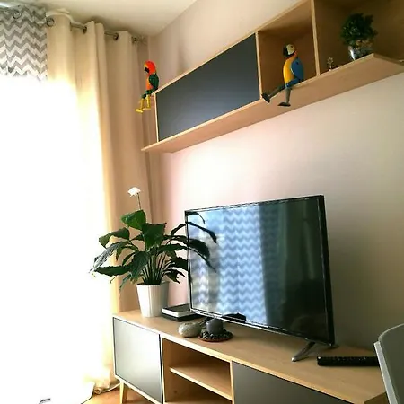 Spacious 2 Bedroom Apt In San Jose Lägenhet *